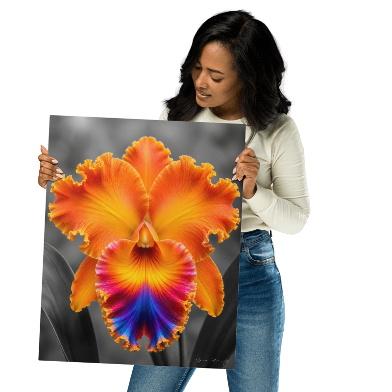 Personalized Collection- Designed your way- Find your custom item here.- Cattleya Orquid